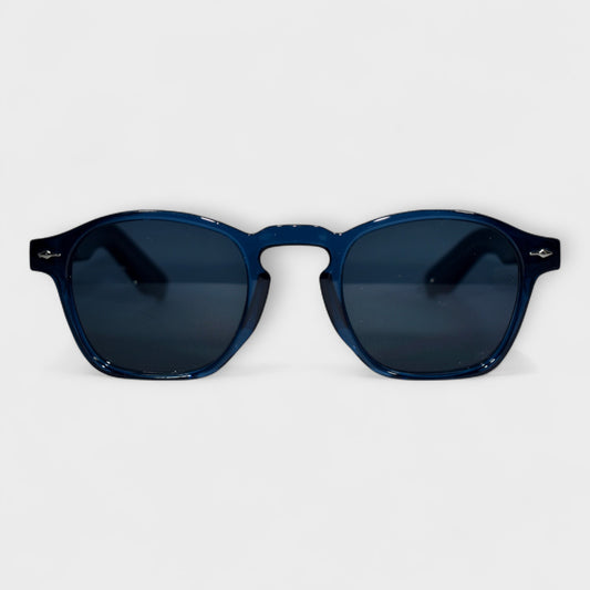 ASTER BLUE